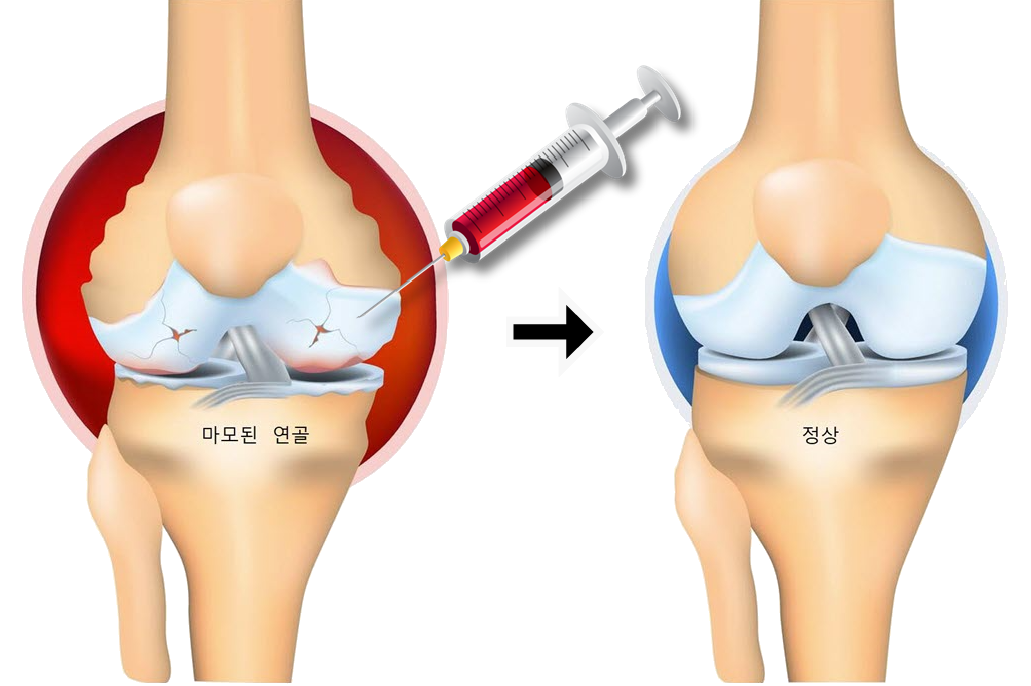 SH Clinic in Gangnam Korea
